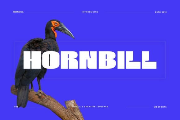 Hornbill Font: A Bold Display Typeface for Digital Design